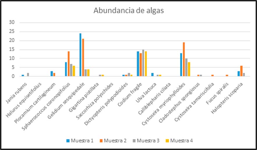 Muestreo de noviembre